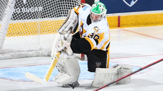 Undrafted players Brochu, Williams among development camp attendees taken at PPG Paints Arena (Penguins)